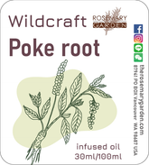 Wildcraft Poke root (Phytolacca decandra)infused oil, Rosemary Garden 100ml